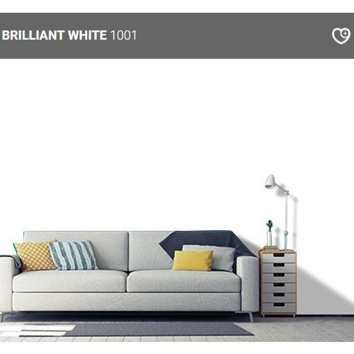 Nippon Paint 3In1 BRILLIANT WHITE 1001 5L